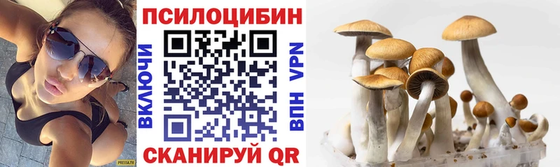 Псилоцибиновые грибы прущие грибы Харабали